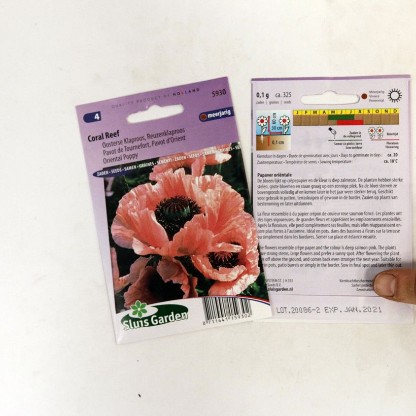 Beispiel eines Exemplars von Orientalischer Mohn Coral Reef (Samen) - Papaver orientale die Tüte mit 400 Samen (0,1g) wie geliefert