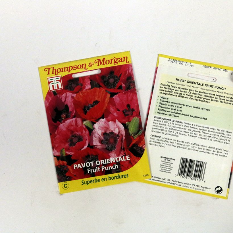 Beispiel eines Exemplars von Orientalischer Mohn Fruit Punch (Samen) - Papaver orientale die Tüte mit 50 Samen wie geliefert