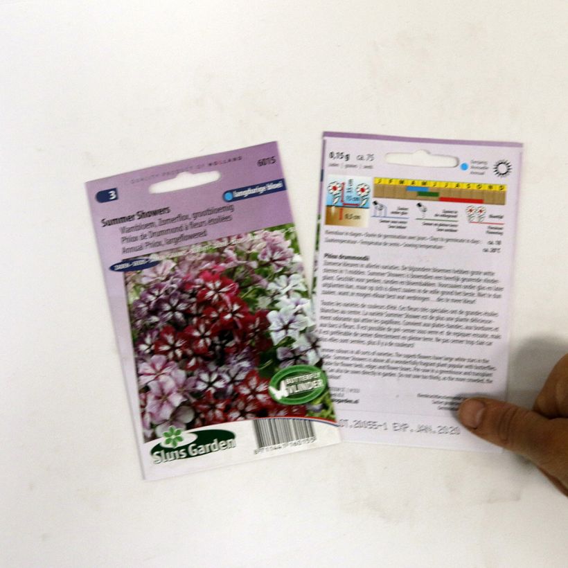 Beispiel eines Exemplars von Sommer-Phlox Summer Showers Mix (Samen) - Phlox die Tüte mit 75 Samen wie geliefert