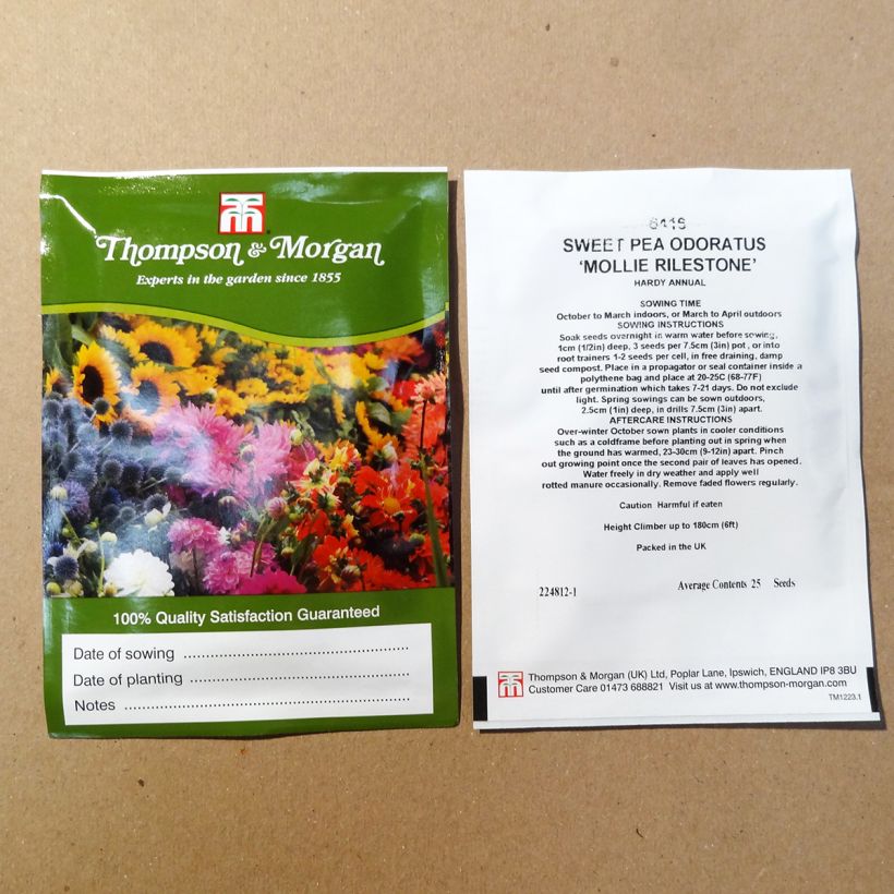 Beispiel eines Exemplars von Duftwicke Mollie Rilstone (Samen) - Lathyrus odoratus die Tüte mit 25 Samen wie geliefert