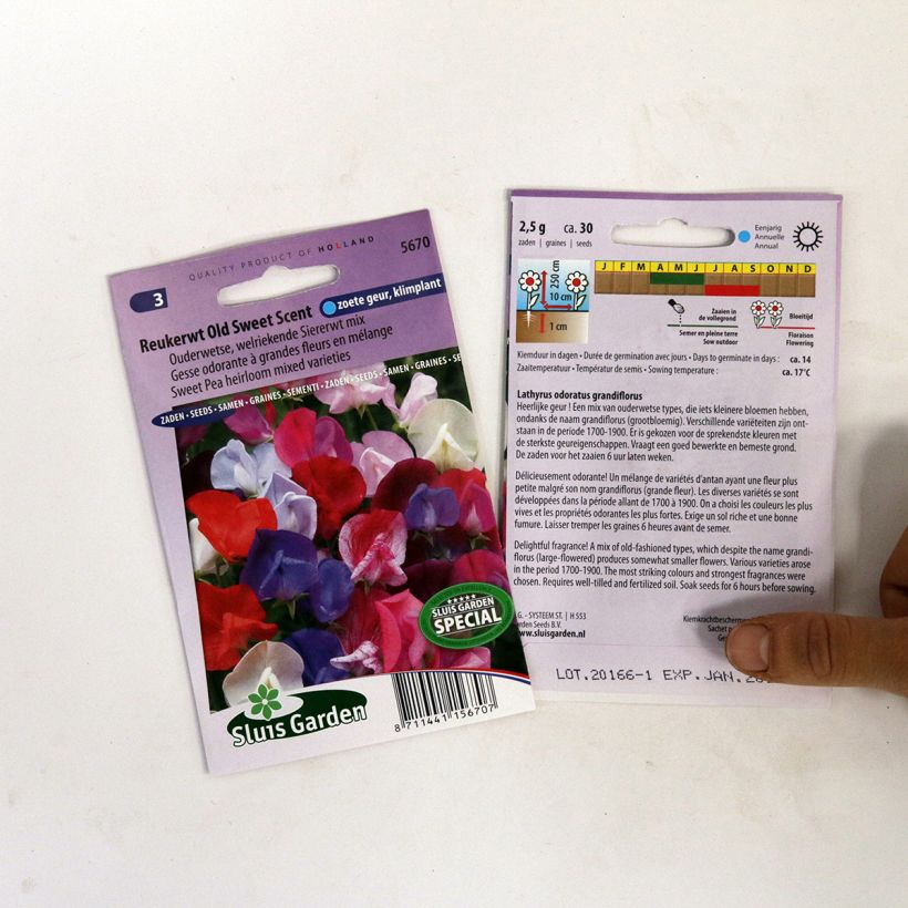 Beispiel eines Exemplars von Duftwicke Old Sweet Scent (Samen) - Lathyrus odoratus die Tüte mit 30 Samen wie geliefert