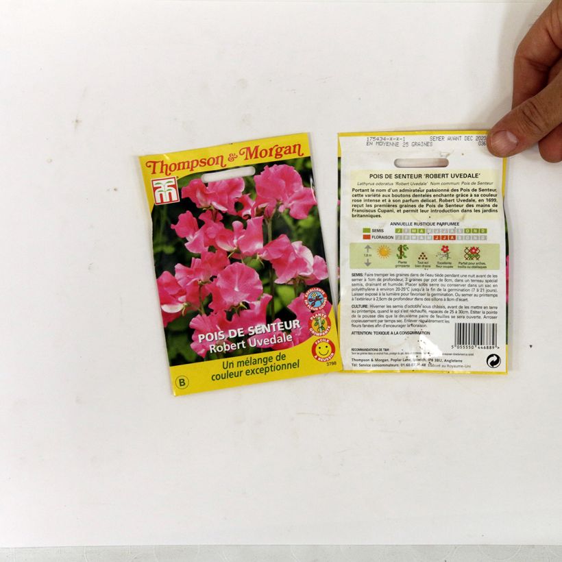 Beispiel eines Exemplars von Duftwicke Robert Uvedale (Samen) - Lathyrus odoratus die Tüte mit 25 Samen wie geliefert