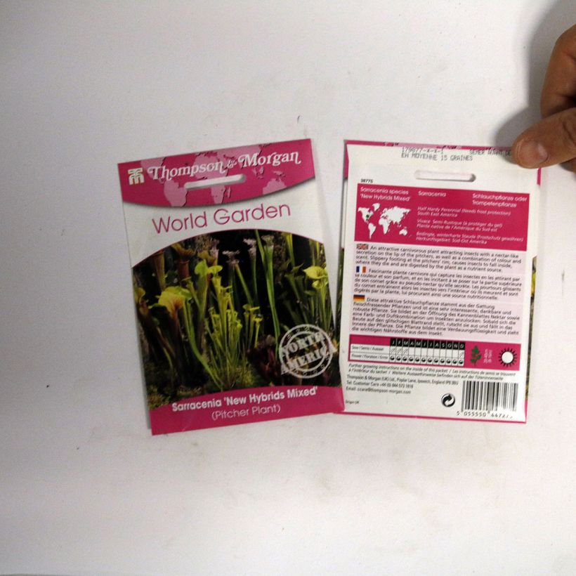 Beispiel eines Exemplars von Sarracenia New Hybrids (Samen) - Schlauchblatt die Tüte mit 15 Samen wie geliefert