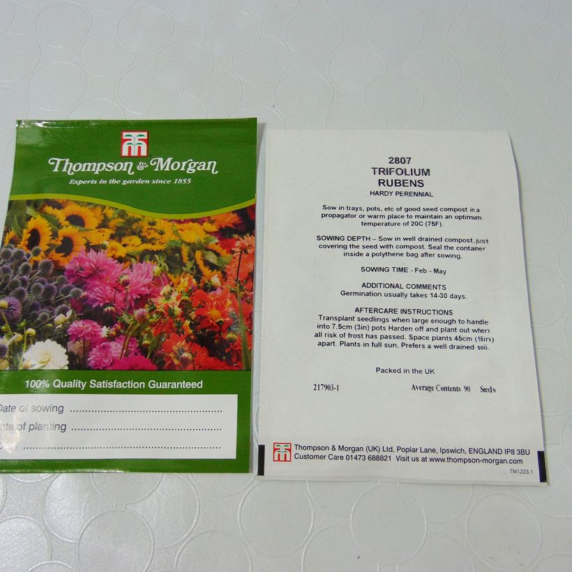 Beispiel eines Exemplars von Rotköpfiger Klee (Samen) - Trifolium rubens die Tüte mit 100 Samen (0,25g) wie geliefert