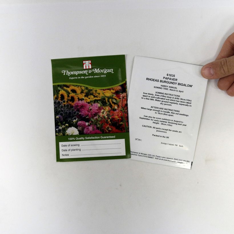 Beispiel eines Exemplars von Klatsch-Mohn Burgundy Bigalow (Samen) - Papaver rhoeas die Tüte mit 500 Samen wie geliefert