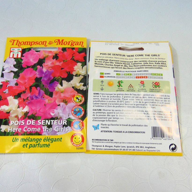 Beispiel eines Exemplars von Duftwicke Here come the Girls (Samen) - Lathyrus odoratus die Tüte mit Samen von 2 Gramm wie geliefert