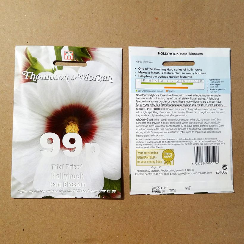 Beispiel eines Exemplars von Alcea rosea Halo Blossom (Samen) - Gewöhnliche Stockrose die Tüte mit 25 Samen wie geliefert