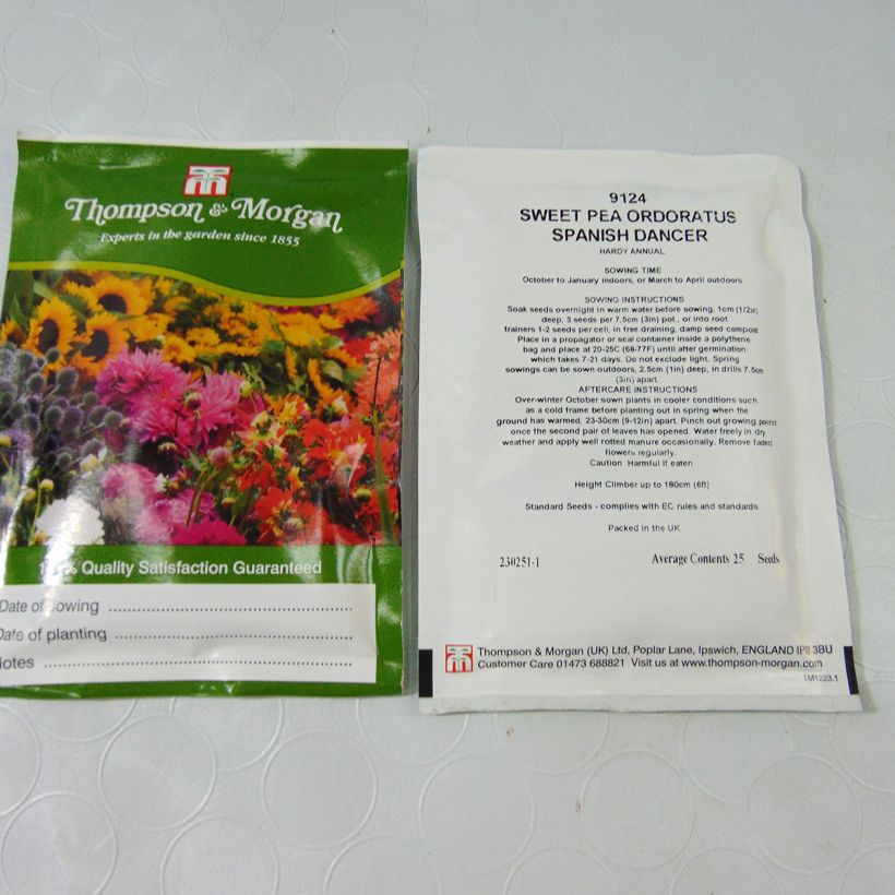 Beispiel eines Exemplars von Garten-Nelke Russian Skies (Samen) - Dianthus die Tüte mit 30 Samen wie geliefert