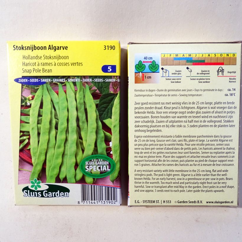 Beispiel eines Exemplars von Stangenbohne Algarve die Tüte mit 170 Samen (85g) wie geliefert