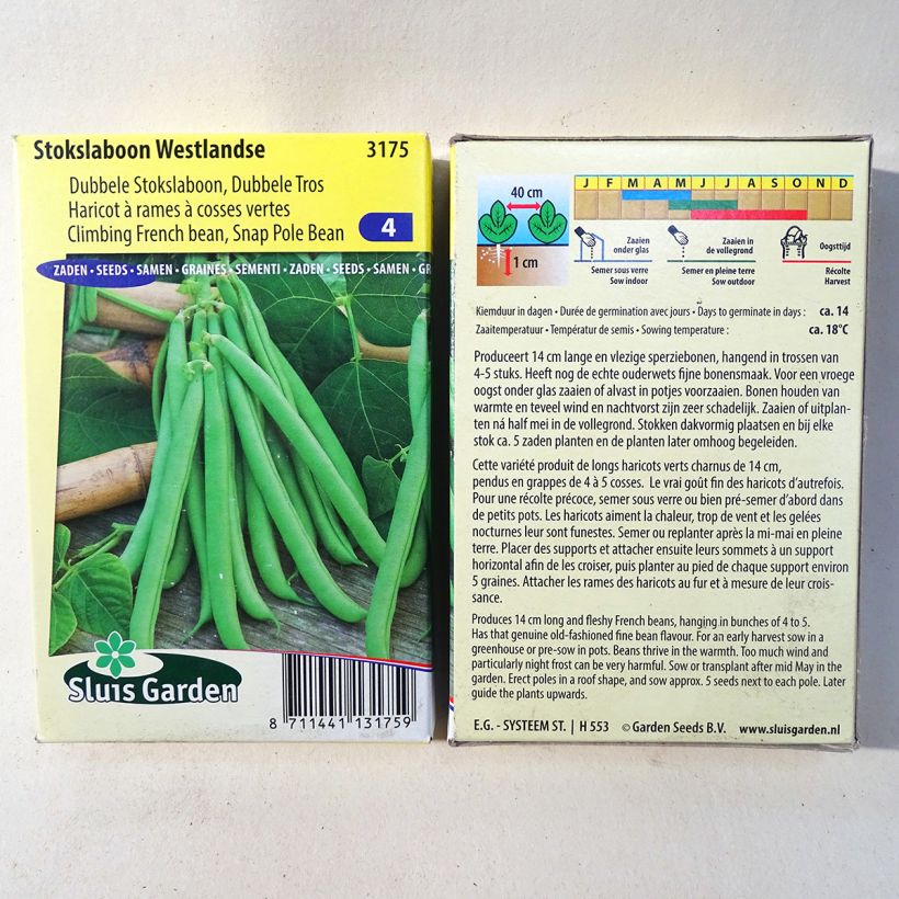 Beispiel eines Exemplars von Stangenbohne Westlandse die Tüte mit 200 Samen (100g) wie geliefert