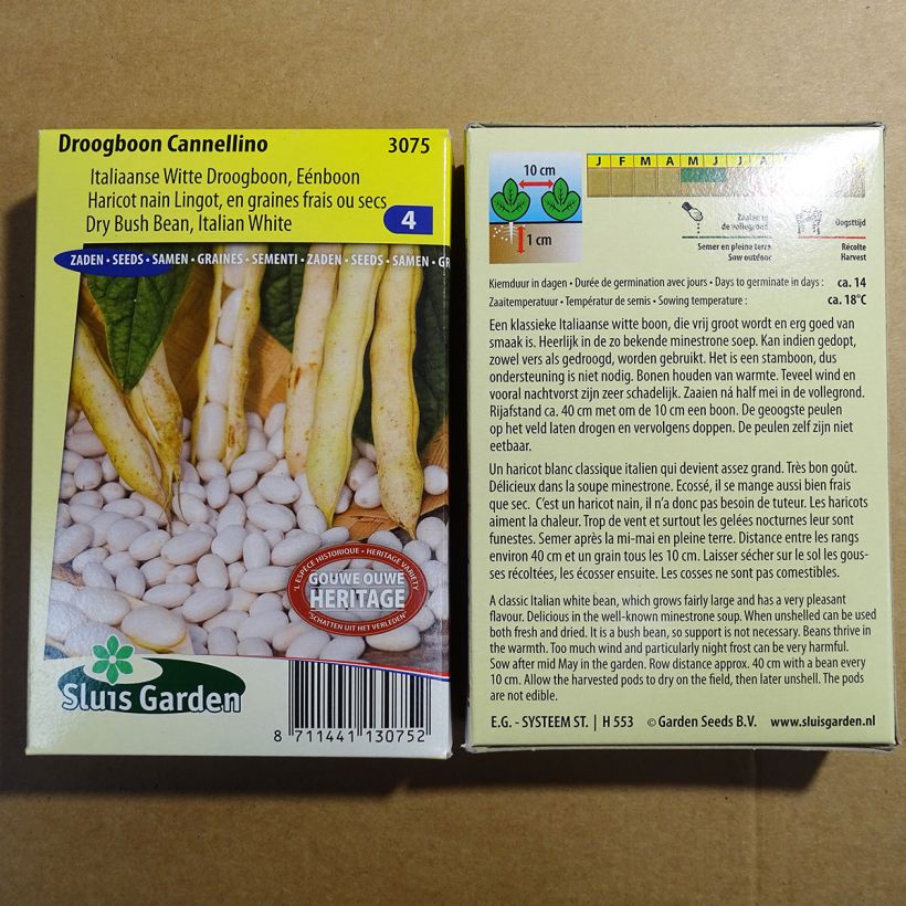 Beispiel eines Exemplars von Zwergbohne Cannellino die Tüte mit 200 Samen (100g) wie geliefert