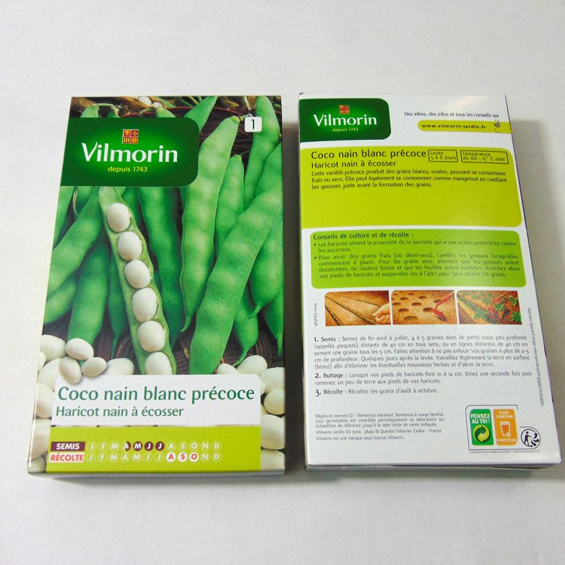 Beispiel eines Exemplars von Garten-Bohne Coco Blanc - Vilmorin die Tüte mit 400 Samen (200g) wie geliefert