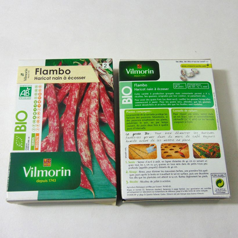 Beispiel eines Exemplars von Zwergbohne Flambo Bio - Vilmorin die Tüte mit 200 Samen (100g) wie geliefert