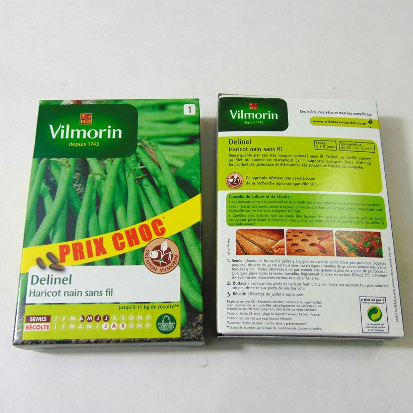 Beispiel eines Exemplars von Zwergbohne Delinel - Vilmorin die Tüte mit 280 Samen (140g) wie geliefert