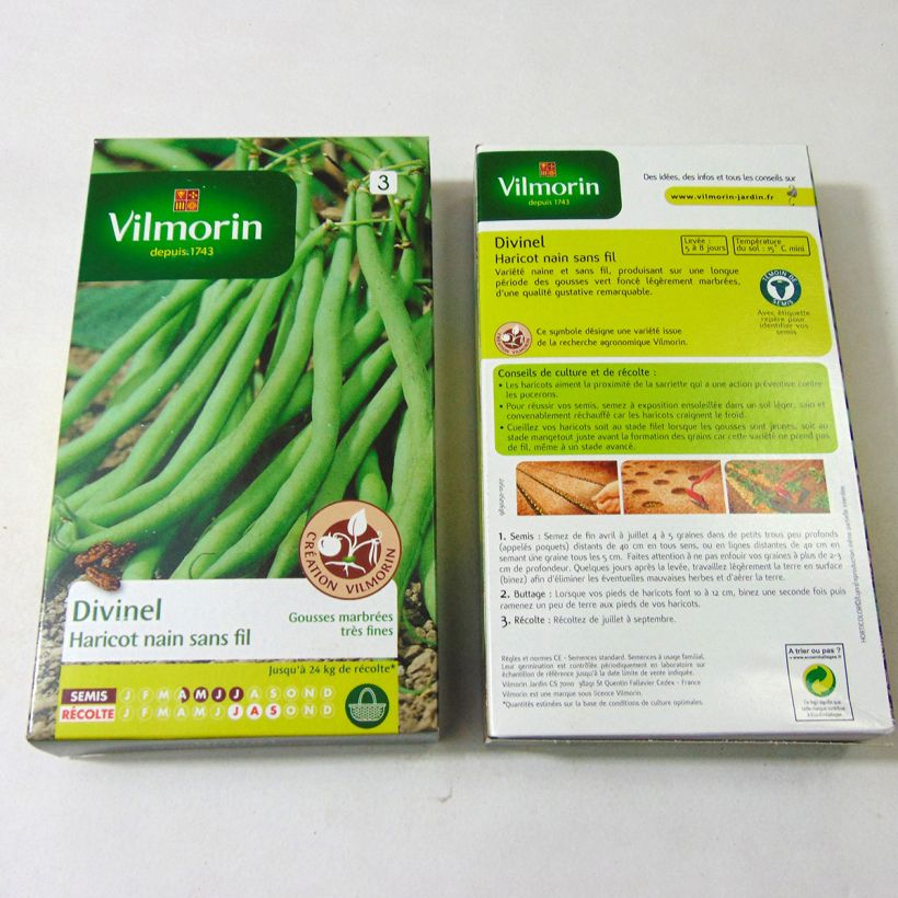 Beispiel eines Exemplars von Zwergbohne Divinel - Vilmorin die Tüte mit 400 Samen (200g) wie geliefert