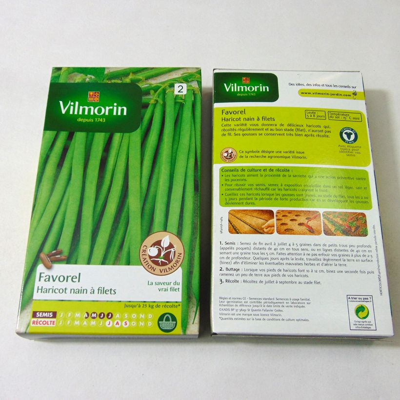 Beispiel eines Exemplars von Zwergbohne Favorel - Vilmorin die Tüte mit 400 Samen (200g) wie geliefert