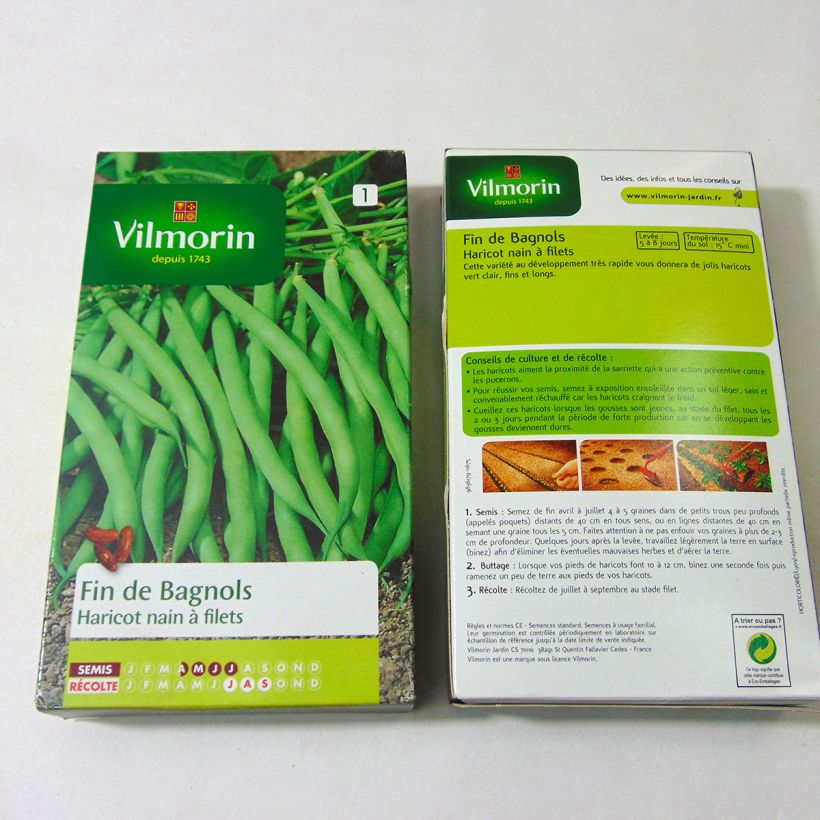 Beispiel eines Exemplars von Zwergbohne Fin de Bagnols - Vilmorin die Tüte mit 500 Samen (250g) wie geliefert