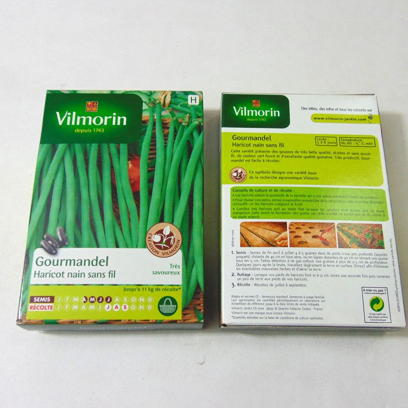 Beispiel eines Exemplars von Zwergbohne Gourmandel - Vilmorin die Tüte mit 200 Samen (100g) wie geliefert