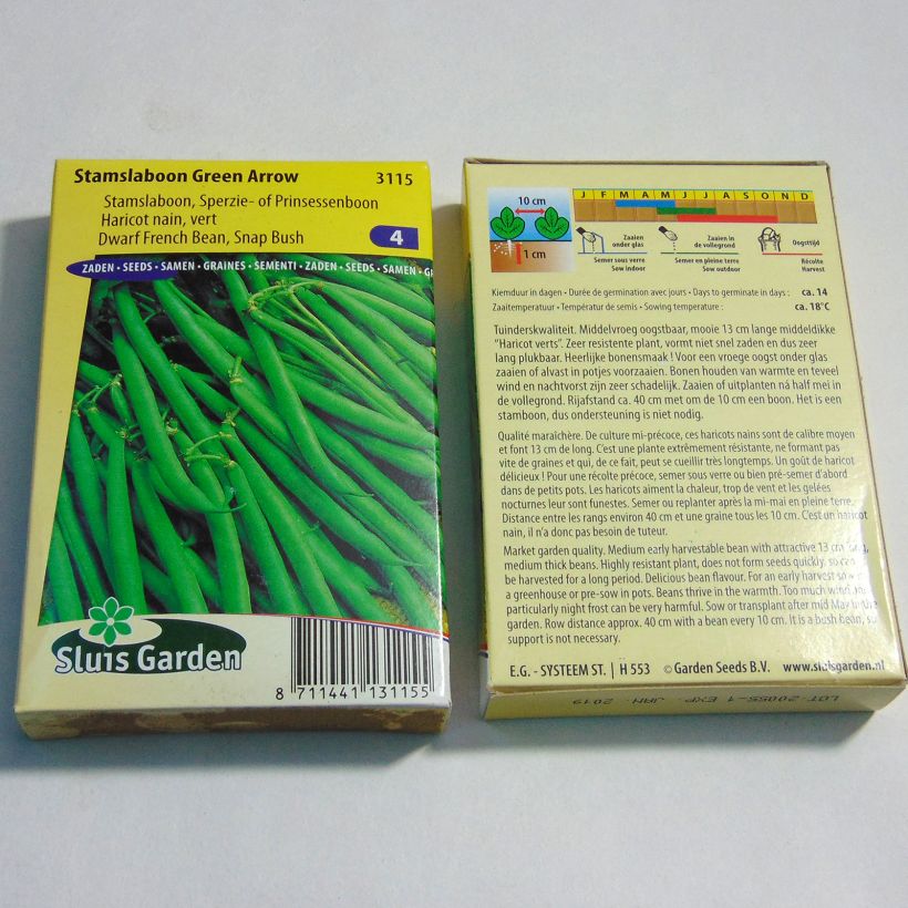 Beispiel eines Exemplars von Zwergbohne Green Arrow die Tüte mit 150 Samen (75g) wie geliefert