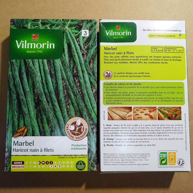 Beispiel eines Exemplars von Zwergbohne Marbel - Vilmorin die Tüte mit 400 Samen (200g) wie geliefert