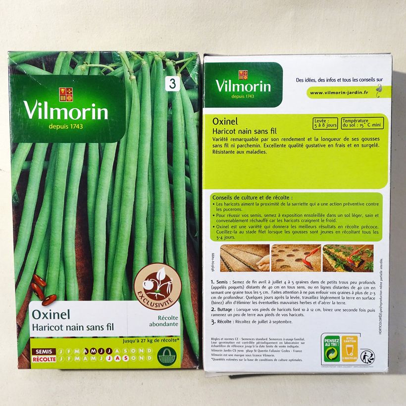 Beispiel eines Exemplars von Zwergbohne Oxinel - Vilmorin die Tüte mit 400 Samen (200g) wie geliefert