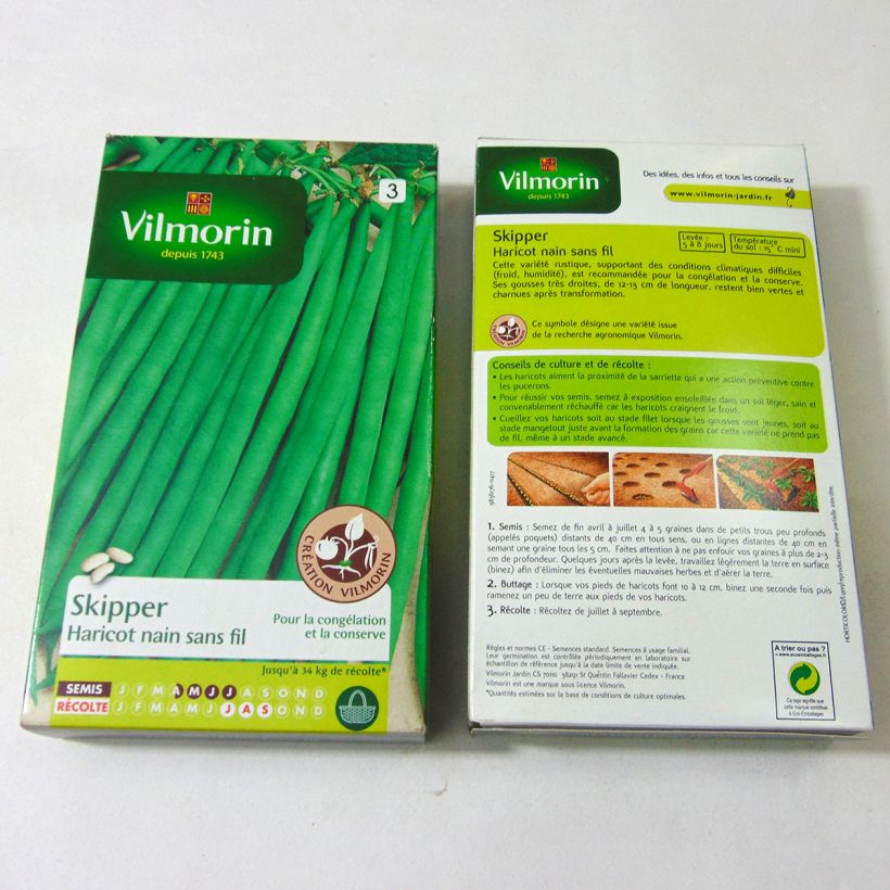 Beispiel eines Exemplars von Zwergbohne Skipper - Vilmorin die Tüte mit 400 Samen (200g) wie geliefert