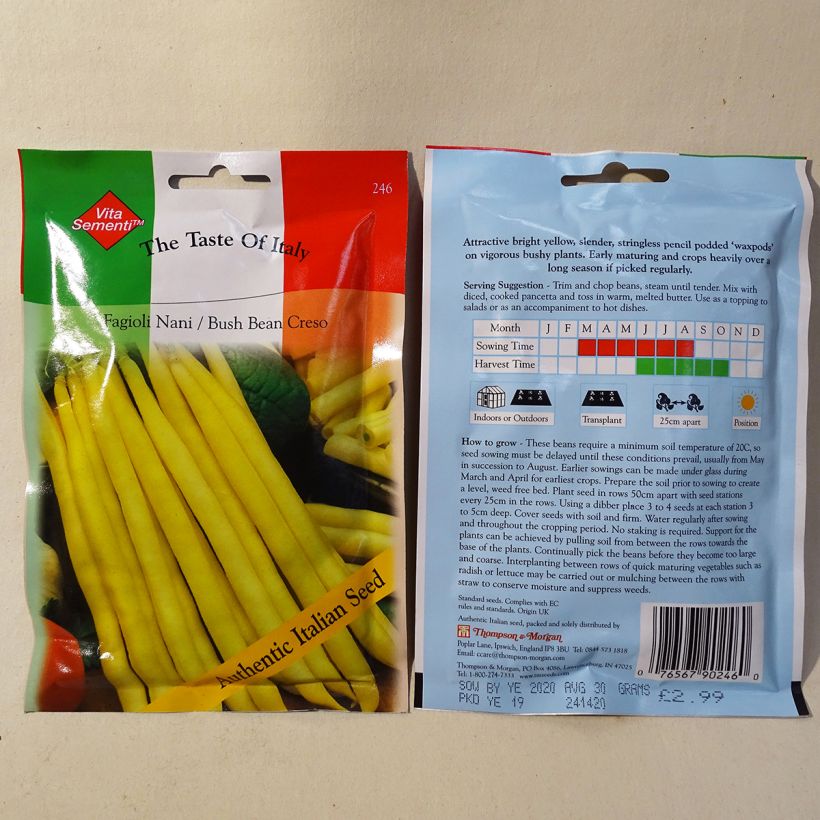Beispiel eines Exemplars von Zwergbohne Creso die Tüte mit 80 Samen (40g) wie geliefert