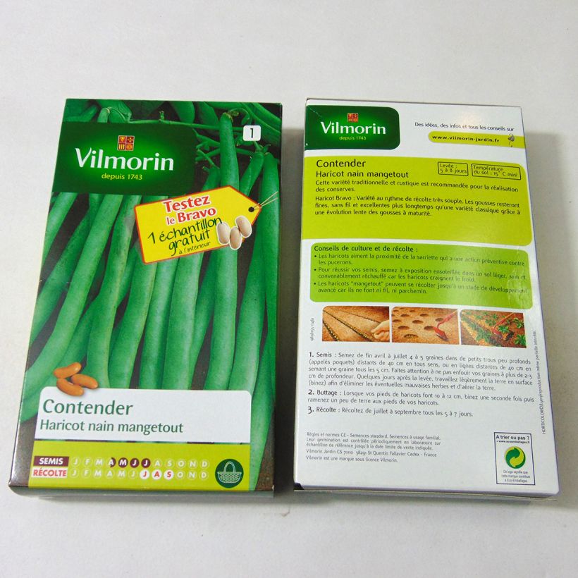 Beispiel eines Exemplars von Zwergbohne Contender - Vilmorin die Tüte mit 400 Samen (200g) wie geliefert