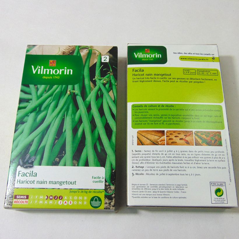 Beispiel eines Exemplars von Zwergbohne Facila - Vilmorin die Tüte mit 400 Samen (200g) wie geliefert