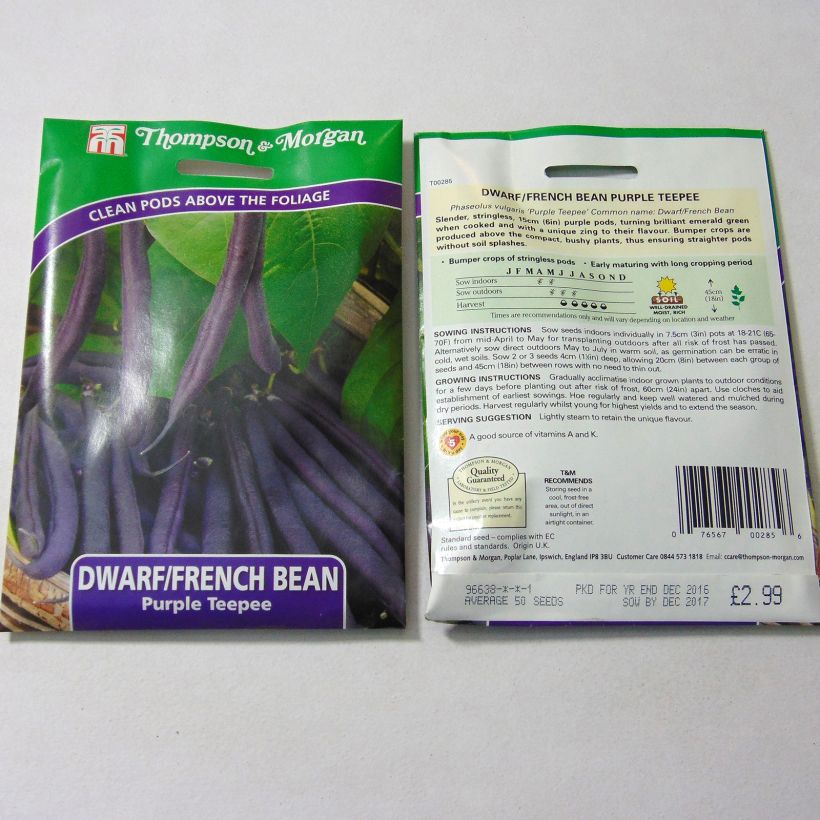 Beispiel eines Exemplars von Zwergbohne Purple Teepee die Tüte mit 50 Samen wie geliefert