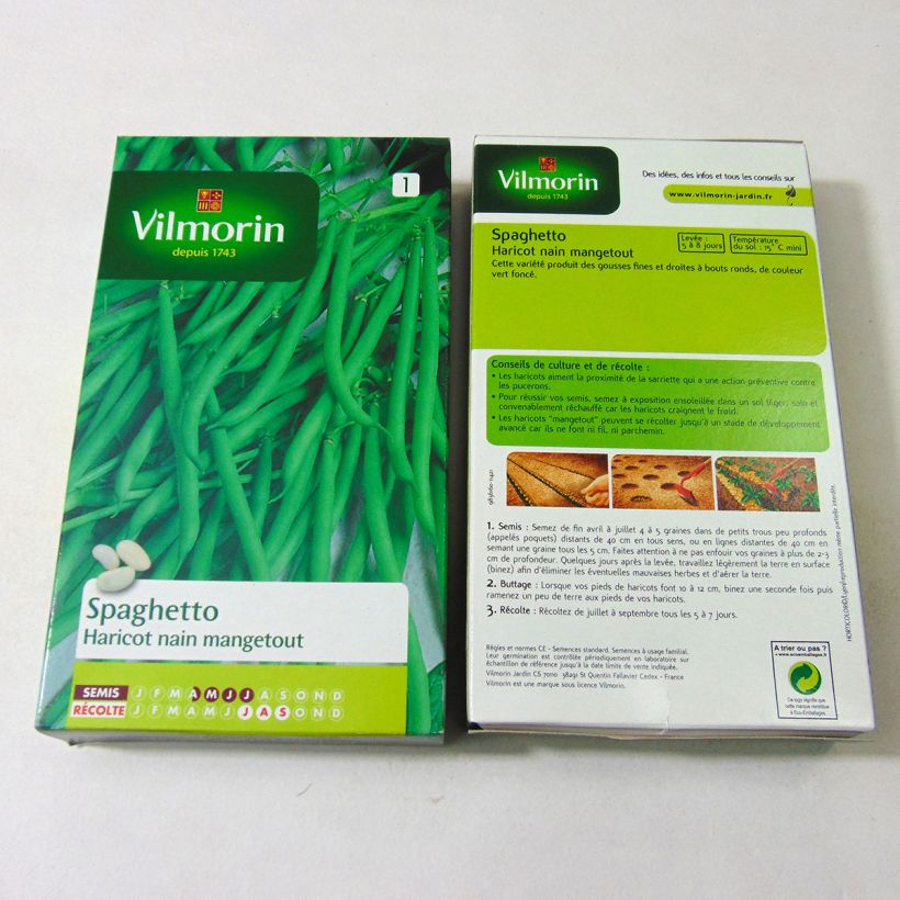 Beispiel eines Exemplars von Zwergbohne Spaghetto - Vilmorin die Tüte mit 350 Samen (175g) wie geliefert