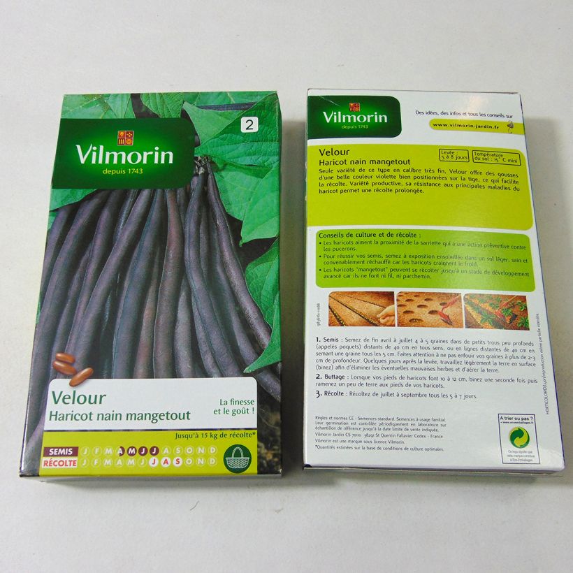 Beispiel eines Exemplars von Zwergbohne Velour - Vilmorin die Tüte mit 450 Samen wie geliefert