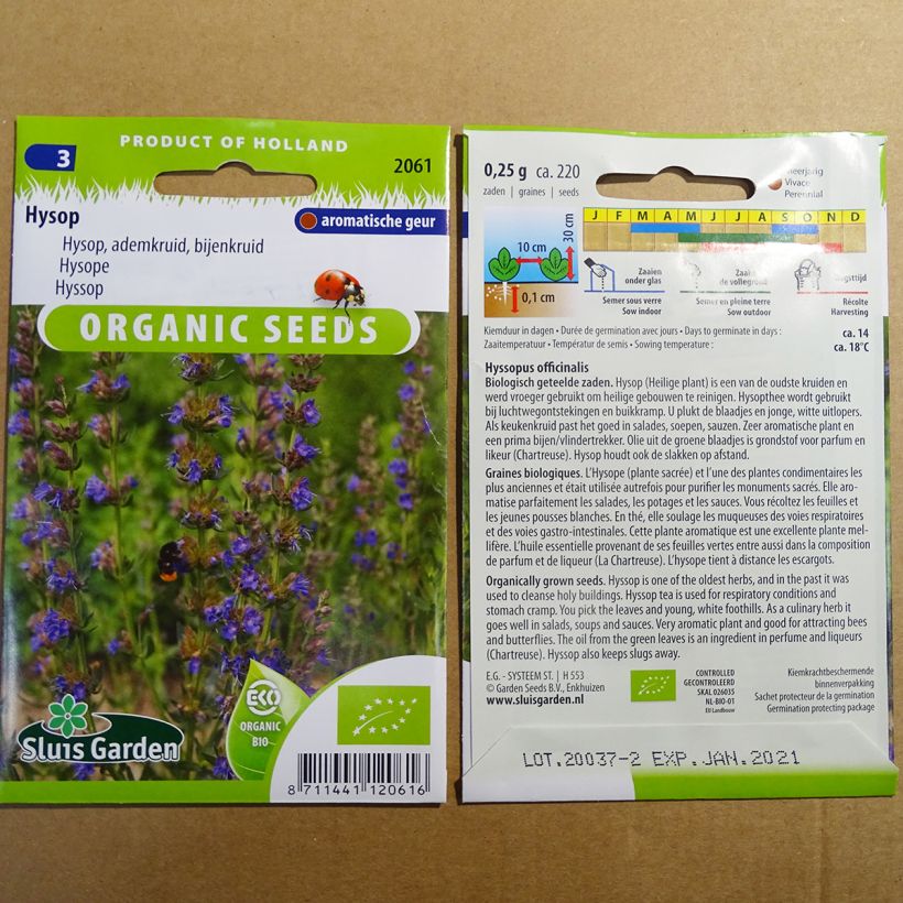 Beispiel eines Exemplars von Ysop Bio - Hyssopus officinalis die Tüte mit 220 Samen (0.25g) wie geliefert