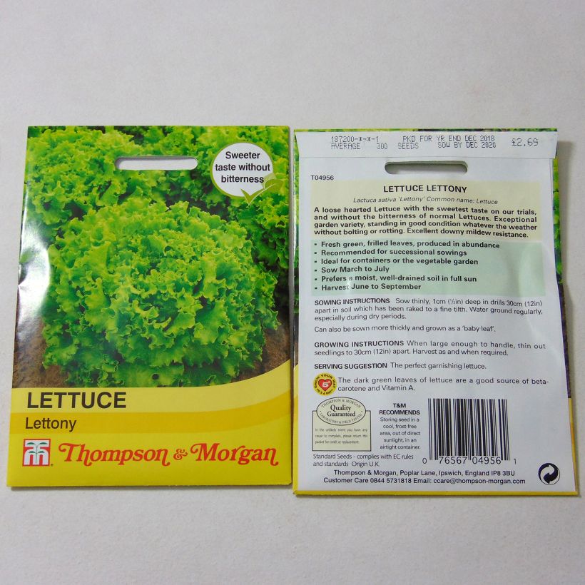 Beispiel eines Exemplars von Bataviasalat Lettony die Tüte mit 300 Samen wie geliefert