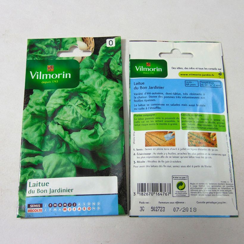 Beispiel eines Exemplars von Kopfsalat du Bon Jardinier - Vilmorin die Tüte mit 2400 Samen (3g) wie geliefert