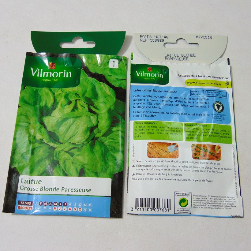 Beispiel eines Exemplars von Kopfsalat Grosse Blonde Paresseuse - Vilmorin die Tüte mit 3200 Samen (4g) wie geliefert