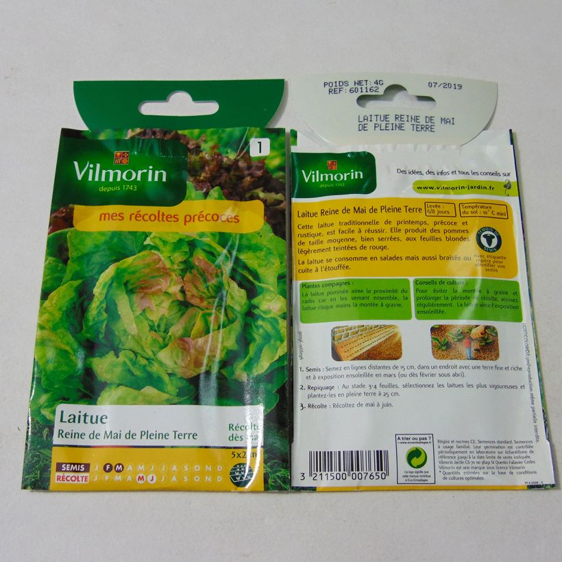 Beispiel eines Exemplars von Kopfsalat Reine de Mai - Vilmorin die Tüte mit 3200 Samen (4g) wie geliefert