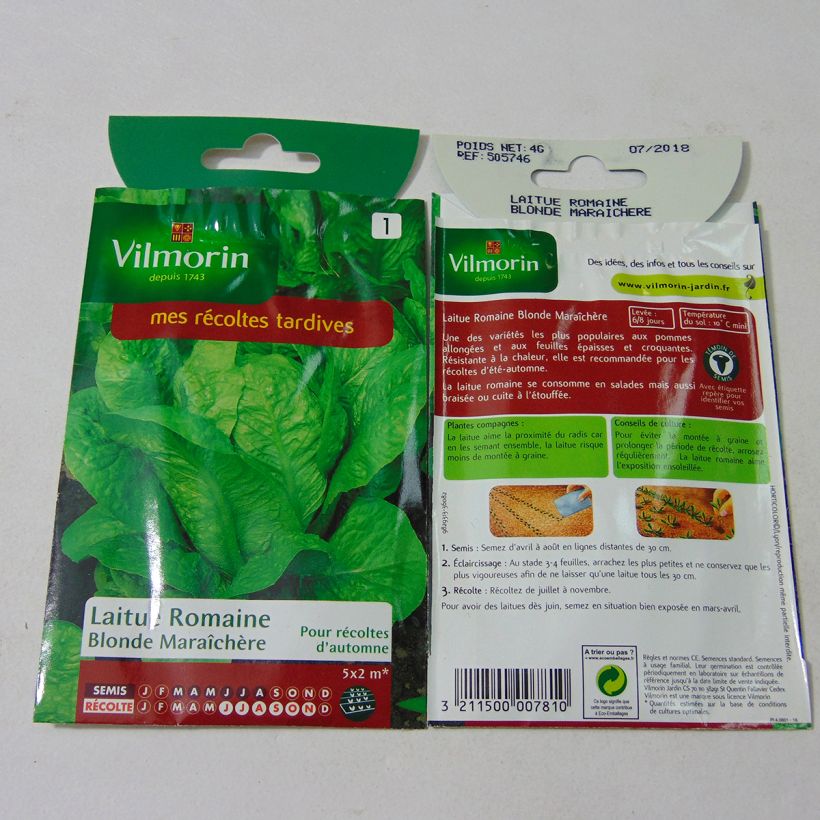 Beispiel eines Exemplars von Römersalat Romaine Blonde Maraîchère - Vilmorin die Tüte mit 3200 Samen (4g) wie geliefert