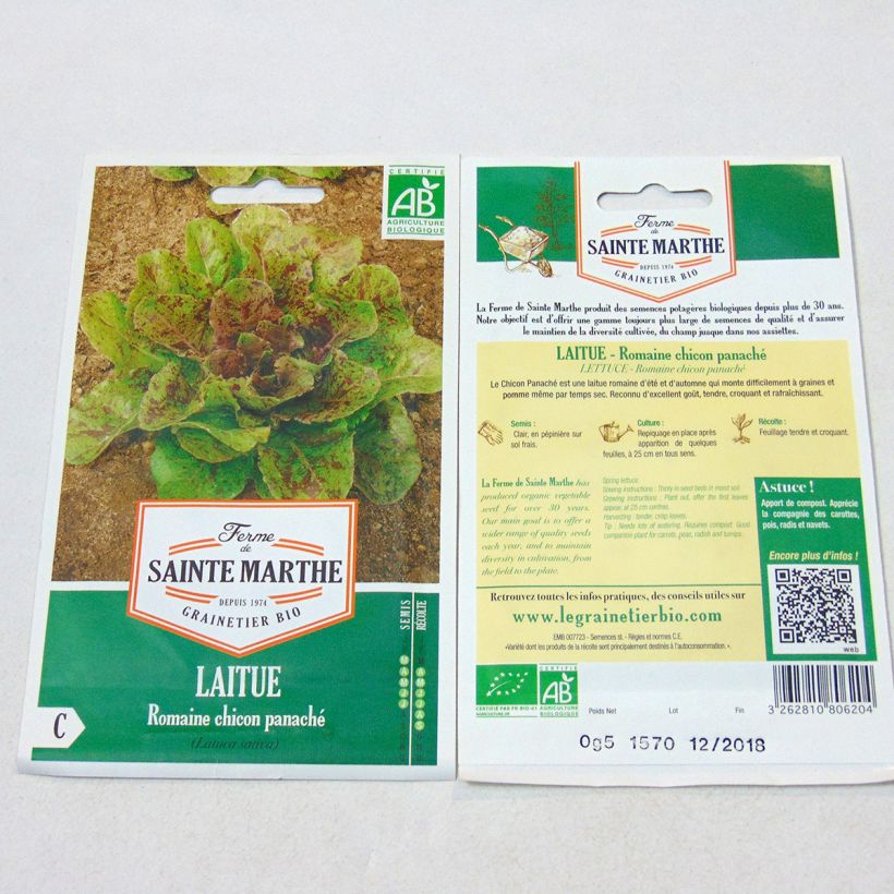 Beispiel eines Exemplars von Römersalat Chicon Panaché Bio - Ferme de Sainte Marthe die Tüte mit 450 Samen wie geliefert