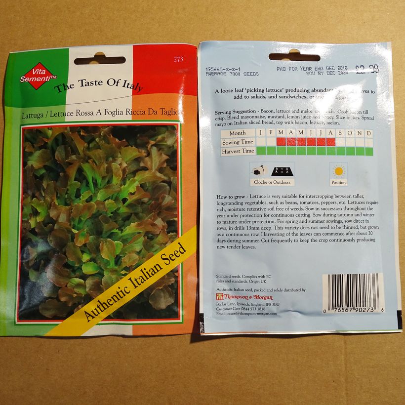 Beispiel eines Exemplars von Schnittsalat Riccia Rossa da Taglio die Tüte mit 7000 Samen wie geliefert