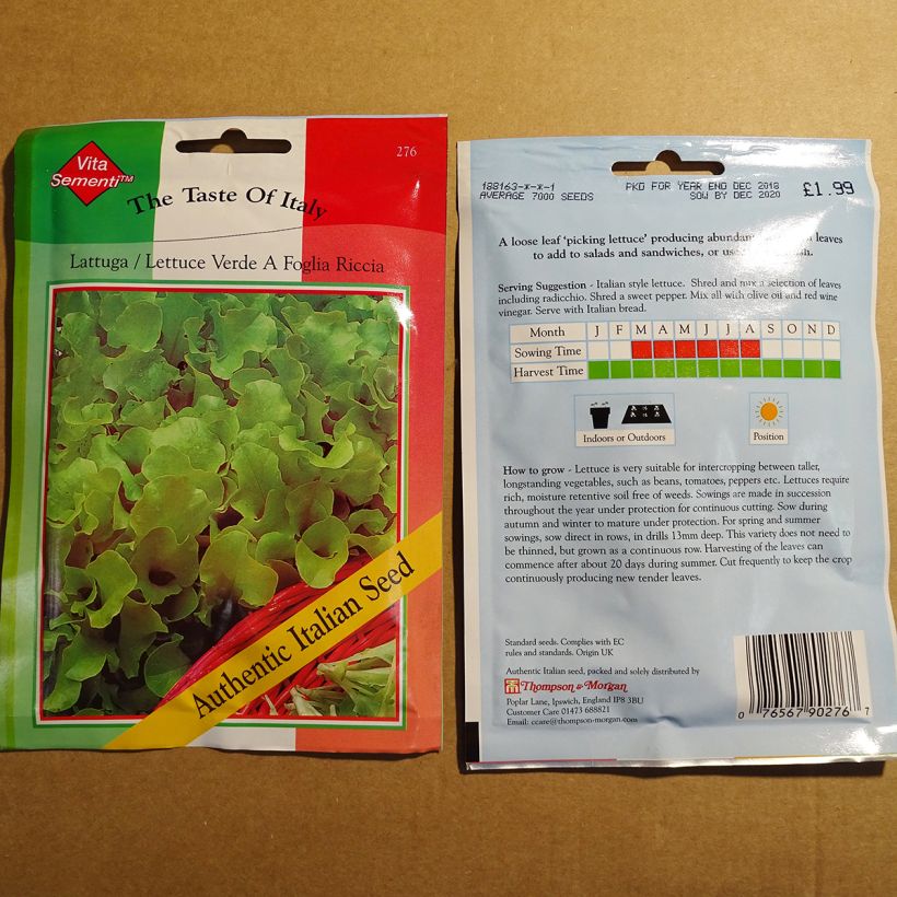 Beispiel eines Exemplars von Schnittsalat Riccia Verde da Taglio die Tüte mit 7000 Samen wie geliefert