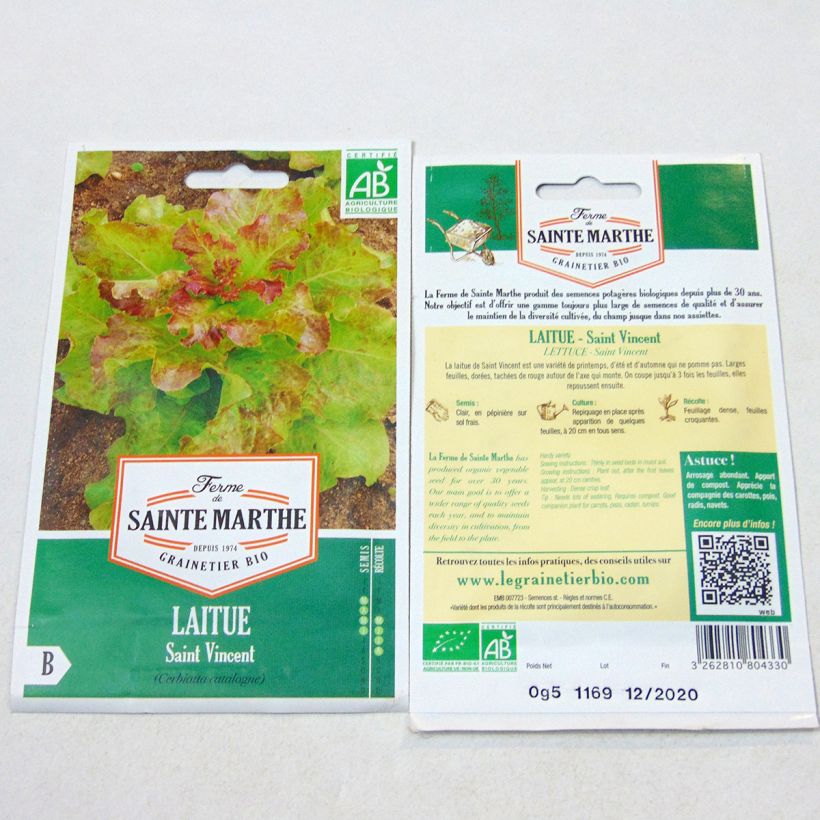 Beispiel eines Exemplars von Schnittsalat Saint Vincent Bio - Ferme de Sainte Marthe die Tüte mit 400 Samen wie geliefert