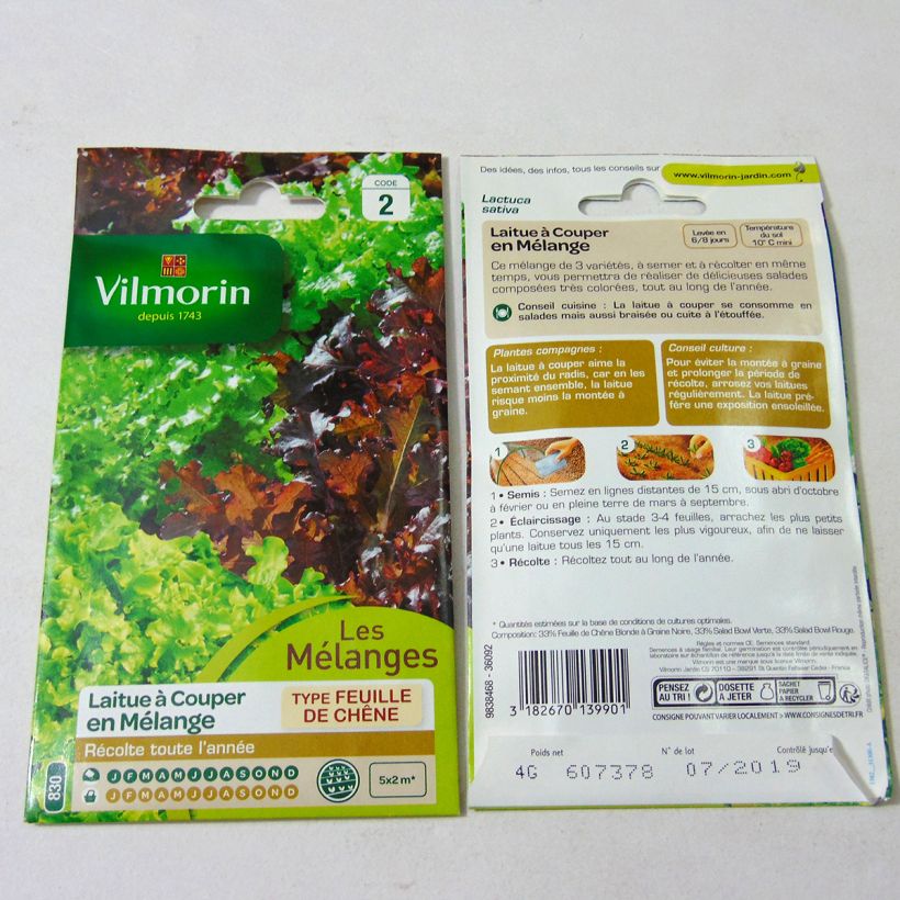 Beispiel eines Exemplars von Schnittsalat Mix (Grüner und roter Ball) die Tüte mit 4000 Samen (4g) wie geliefert