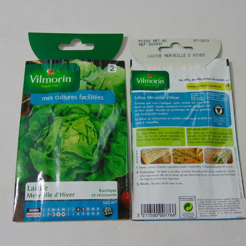 Beispiel eines Exemplars von Winterkopfsalat Merveille d'Hiver - Vilmorin die Tüte mit 3200 Samen (4g) wie geliefert