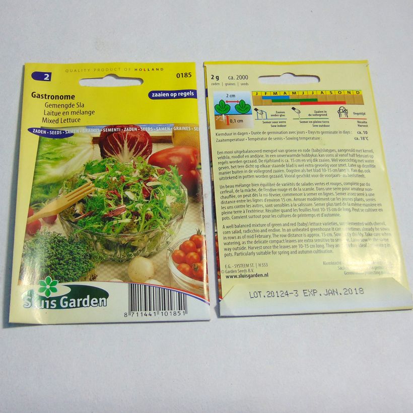 Beispiel eines Exemplars von Mesclun Mix Gastronome die Tüte mit 2000 Samen (2g) wie geliefert