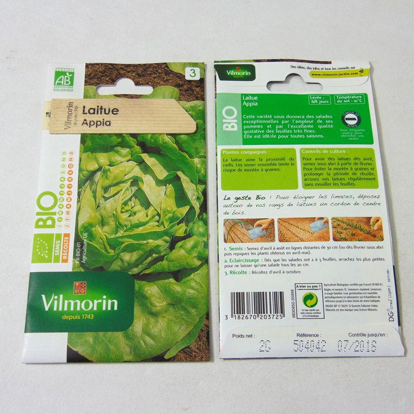 Beispiel eines Exemplars von Kopfsalat Appia Bio die Tüte mit 1600 Samen (2g) wie geliefert