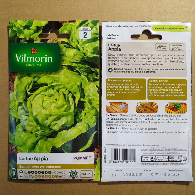 Beispiel eines Exemplars von Kopfsalat Appia - Vilmorin die Tüte mit 2400 Samen (3g) wie geliefert