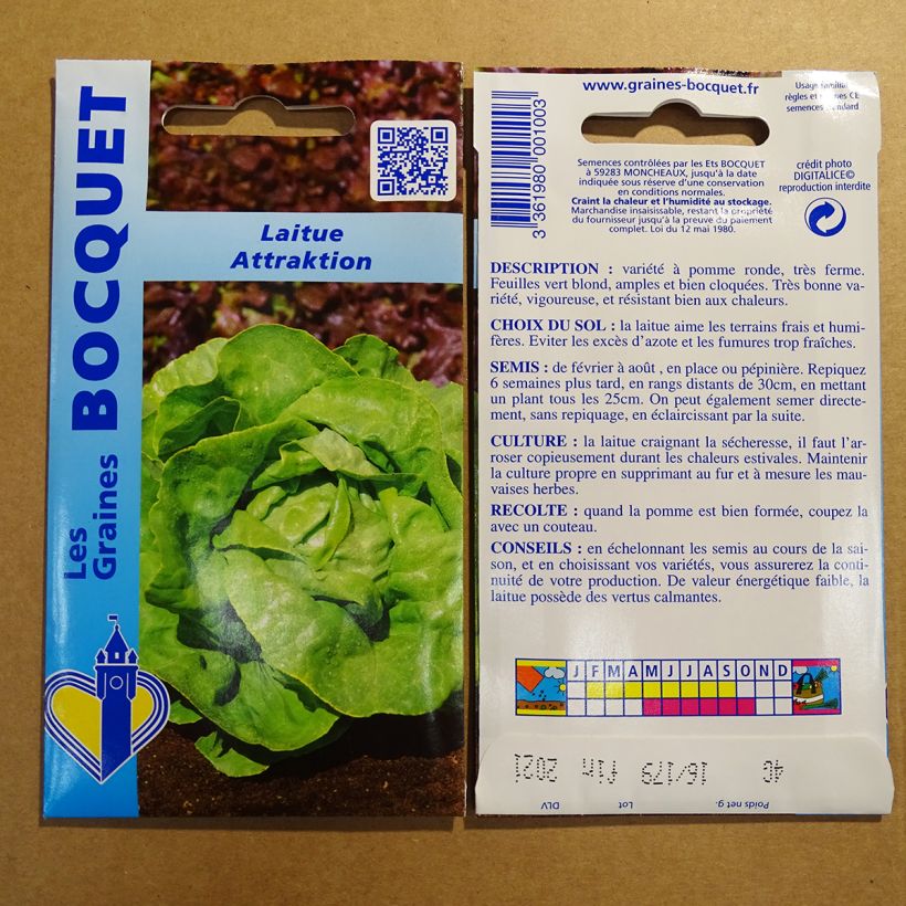 Beispiel eines Exemplars von Kopfsalat Capitata Attraktion die Tüte mit 3200 Samen (4g) wie geliefert