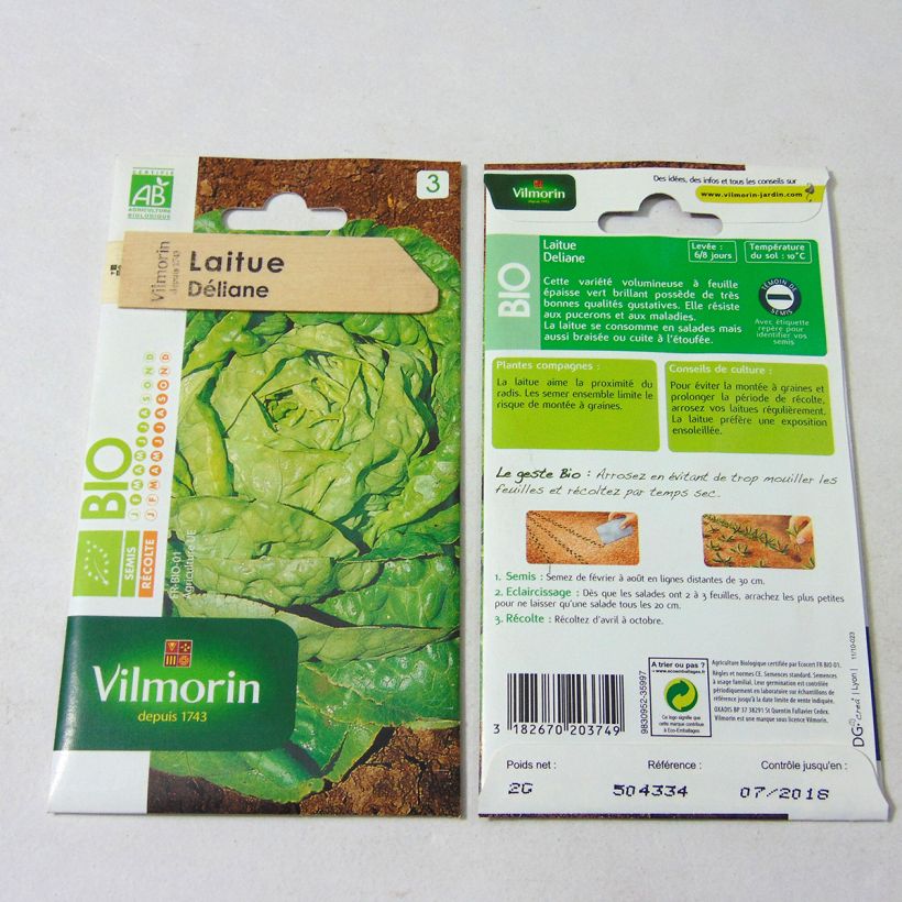Beispiel eines Exemplars von Kopfsalat Deliane Bio - Vilmorin die Tüte mit 1600 Samen (2g) wie geliefert