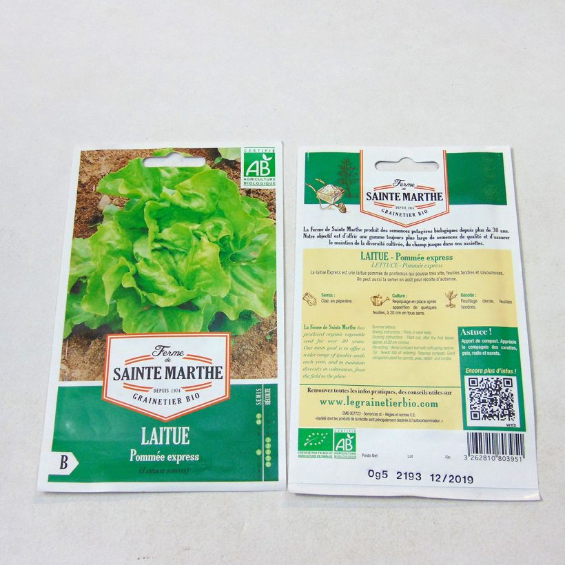 Beispiel eines Exemplars von Kopfsalat Express Bio - Ferme de Sainte Marthe die Tüte mit 500 Samen wie geliefert